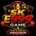 SK E999 Game