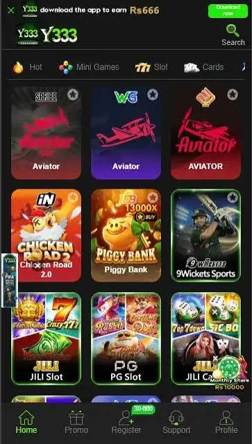 Y333 Game